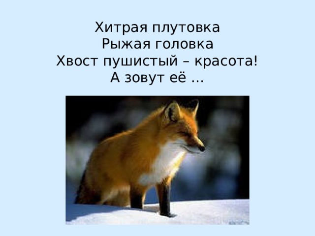 Горбоносый, длинноногий  Великан ветвисторогий  Ест траву, кустов побеги  С ним тягаться трудно в беге.  Коль такого довелось  Встретить, знайте, это – ... 