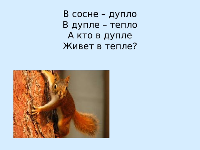 Хитрая плутовка  Рыжая головка  Хвост пушистый – красота!  А зовут её … 