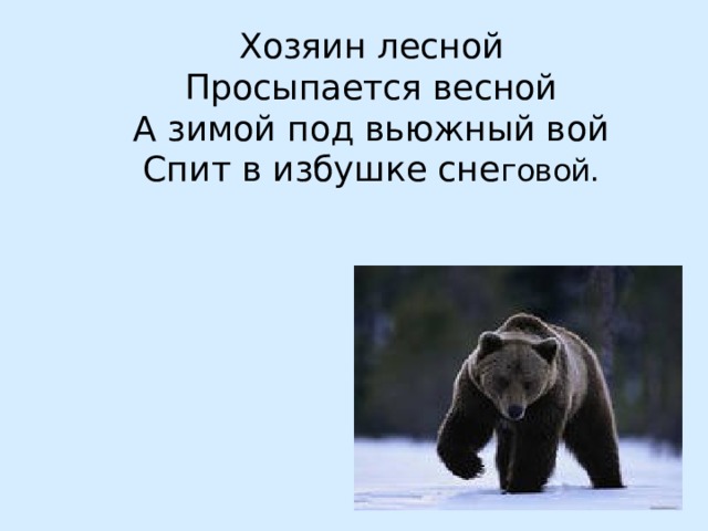 В сосне – дупло  В дупле – тепло  А кто в дупле  Живет в тепле? 