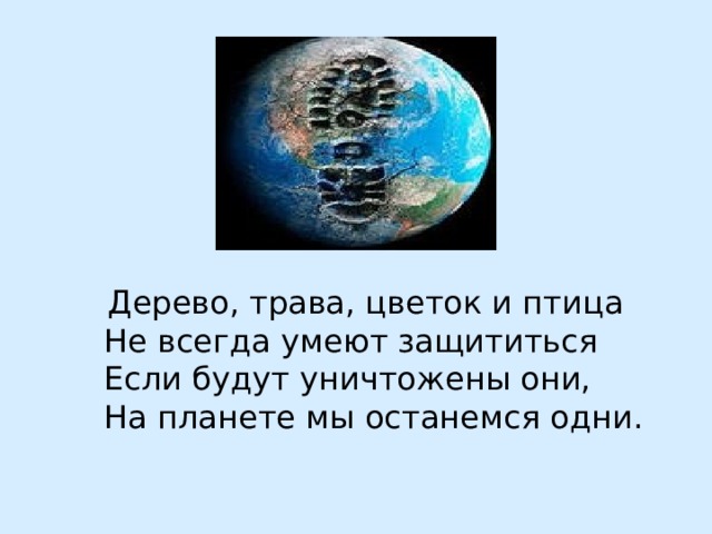 Бесценна российского леса краса  Зеленое золото – наши леса.   