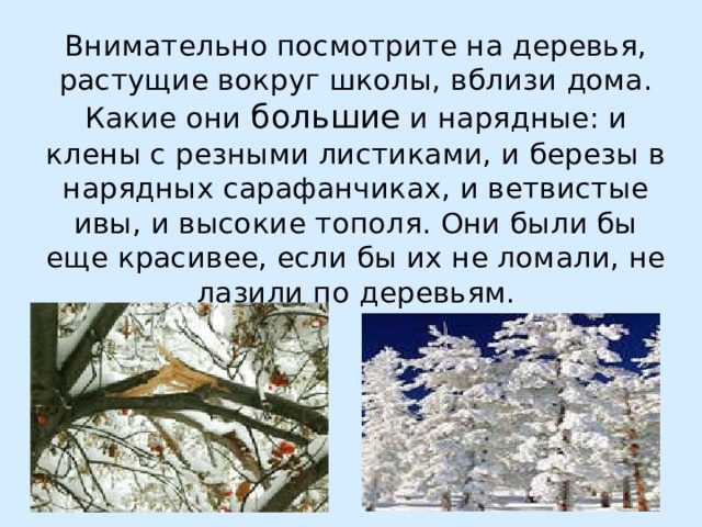  Дерево, трава, цветок и птица  Не всегда умеют защититься  Если будут уничтожены они,  На планете мы останемся одни.   