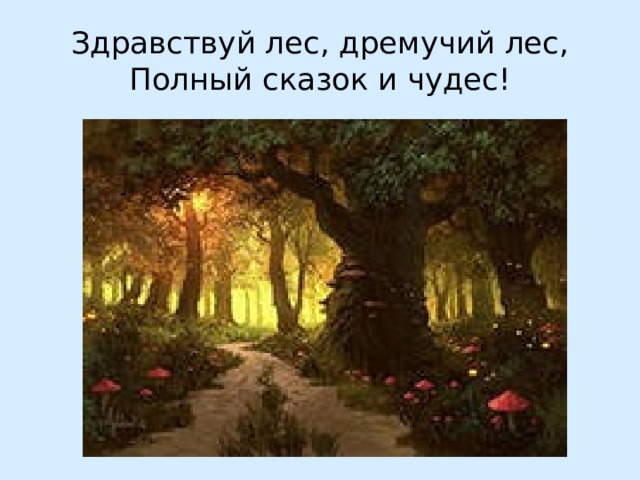 Здравствуй лес, дремучий лес,  Полный сказок и чудес! 