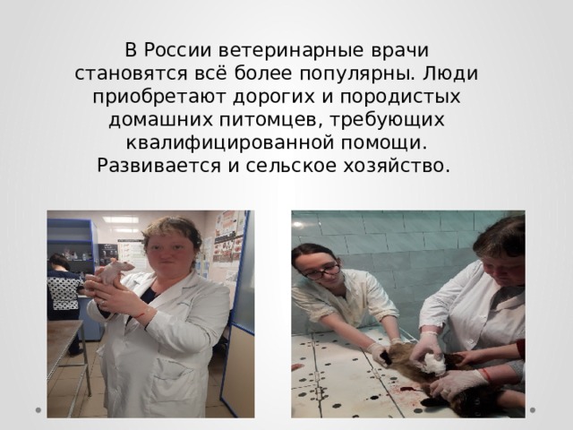 В России ветеринарные врачи становятся всё более популярны. Люди приобретают дорогих и породистых домашних питомцев, требующих квалифицированной помощи. Развивается и сельское хозяйство. 