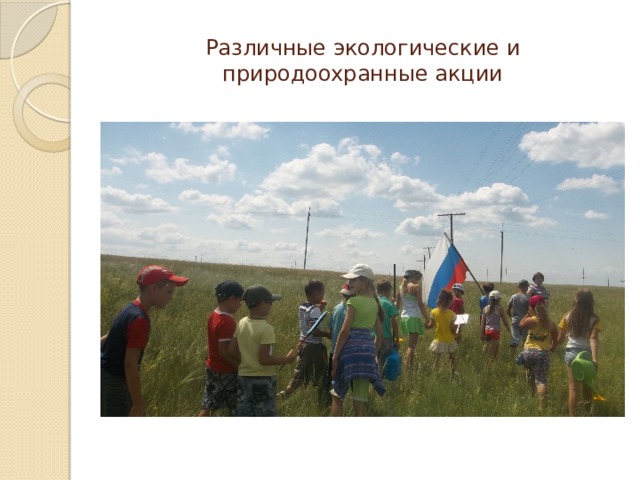 Различные экологические и природоохранные акции 
