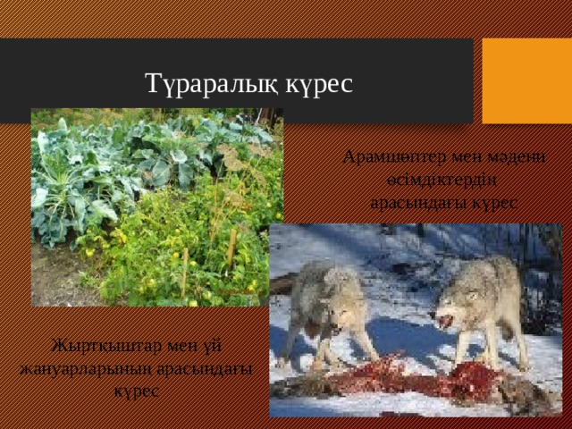 Түраралық күрес Арамшөптер мен мәдени өсімдіктердің арасындағы күрес Жыртқыштар мен үй жануарларының арасындағы күрес 