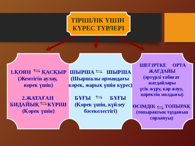 Тірі ағзалардың қоршаған орта жағдайларына бейімделуі презентация