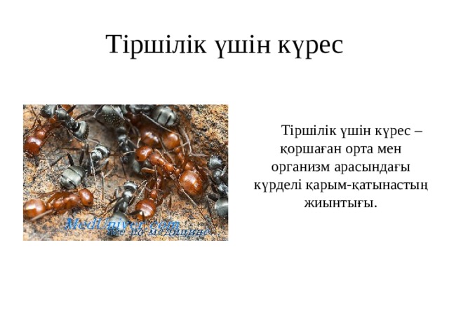 Тіршілік үшін күрес  Тіршілік үшін күрес – қоршаған орта мен организм арасындағы күрделі қарым-қатынастың жиынтығы. 