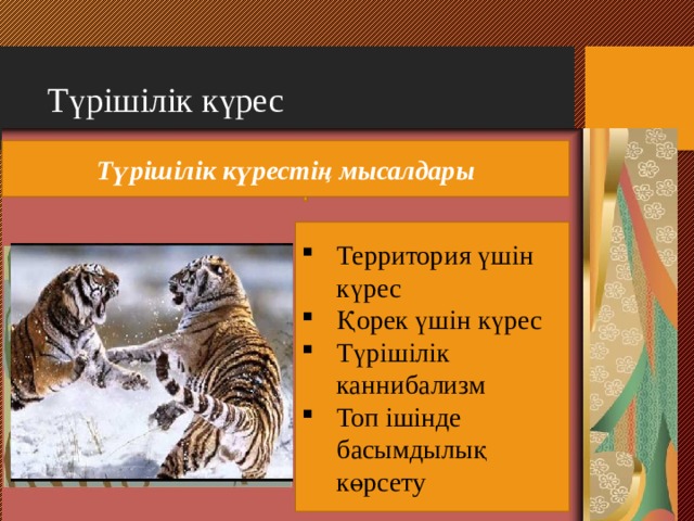 Түрішілік күрес Т үрішілік күрестің мысалдары Территория үшін күрес Қорек үшін күрес Түрішілік каннибализм Топ ішінде басымдылық көрсету 