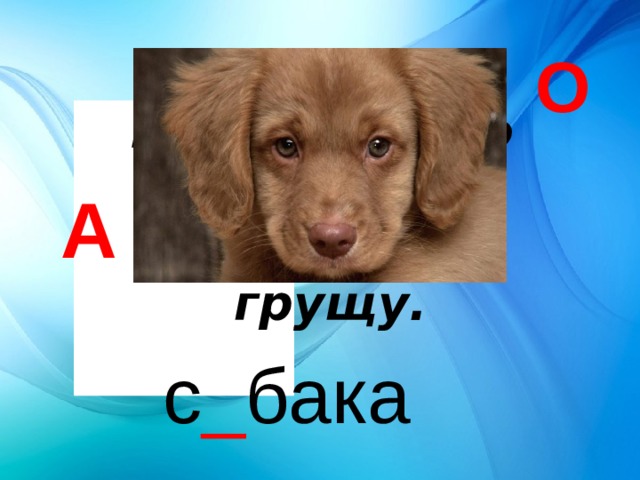 О В дом чужого не пущу,  Без хозяина грущу. А с _ бака 