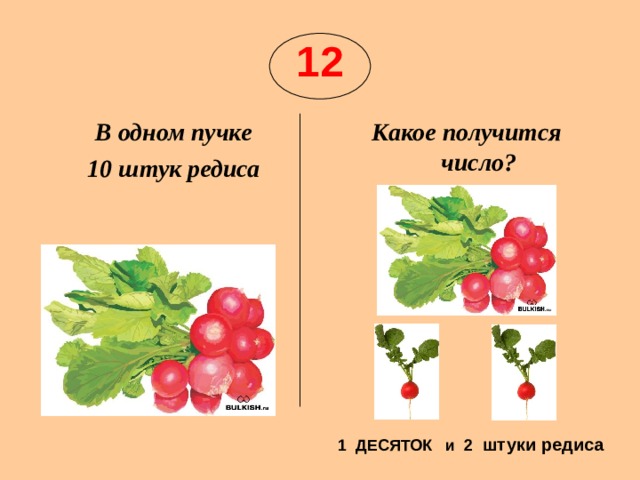 Количестве 1 шт. Редис какой прилагательные. Схема слова редис. Сколько одинаковых Пучков можнонавязать из 40 штук редиса. В одном пучке 6 редисок схема.