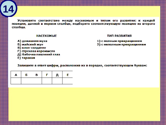 Установите соответствие между насекомыми. Соответствие между насекомыми и типами развития. Установите соответствие между насекомым и типом его развития. Установи соответствие между насекомым и типом его развития. Установите соответствие между насекомыми и типом их развития.