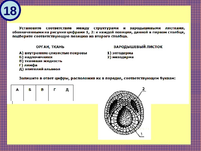 Решу огэ биология. ЕГЭ по биологии задания. Практические задачи биологии. Интересные практические задания по биологии. Разбор 28 задания ЕГЭ по биологии 2022.