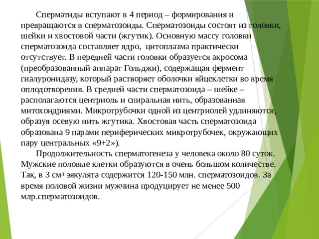 Сперматиды вступают в 4 период – формирования и превращаются в сперматозоиды. Сперматозоиды состоят из головки, шейки и хвостовой части (жгутик). Основную массу головки сперматозоида составляет ядро, цитоплазма практически отсутствует. В передней части головки образуется акросома (преобразованный аппарат Гольджи), содержащая фермент гиалуронидазу, который растворяет оболочки яйцеклетки во время оплодотворения. В средней части сперматозоида – шейке – располагаются центриоль и спиральная нить, образованная митохондриями. Микротрубочки одной из центриолей удлиняются, образуя осевую нить жгутика. Хвостовая часть сперматозоида образована 9 парами периферических микротрубочек, окружающих пару центральных «9+2»). Продолжительность сперматогенеза у человека около 80 суток. Мужские половые клетки образуются в очень большом количестве. Так, в 3 см 3 эякулята содержится 120-150 млн. сперматозоидов. За время половой жизни мужчина продуцирует не менее 500 млр.сперматозоидов. 