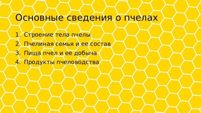 Основные сведения о пчелах Строение тела пчелы Пчелиная семья и ее состав Пища пчел и ее добыча Продукты пчеловодства 