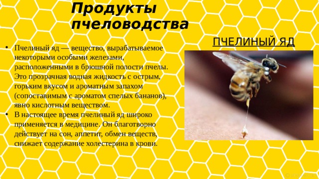 Продукты пчеловодства   ПЧЕЛИНЫЙ ЯД Пчелиный яд — вещество, вырабатываемое некоторыми особыми железами, расположенными в брюшной полости пчелы. Это прозрачная водная жидкость с острым, горьким вкусом и ароматным запахом (сопоставимым с ароматом спелых бананов), явно кислотным веществом. В настоящее время пчелиный яд широко применяется в медицине. Он благотворно действует на сон, аппетит, обмен веществ, снижает содержание холестерина в крови. 
