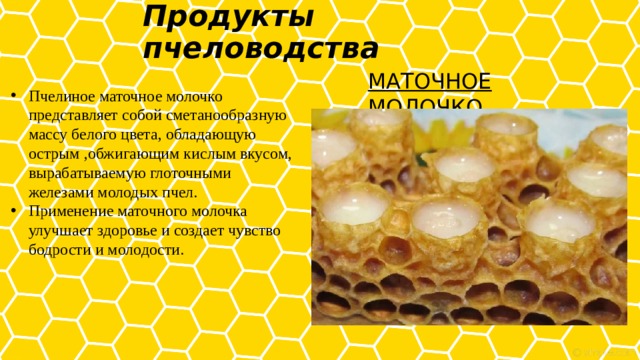 Продукты пчеловодства   МАТОЧНОЕ МОЛОЧКО Пчелиное маточное молочко представляет собой сметанообразную массу белого цвета, обладающую острым ,обжигающим кислым вкусом, вырабатываемую глоточными железами молодых пчел. Применение маточного молочка улучшает здоровье и создает чувство бодрости и молодости. 