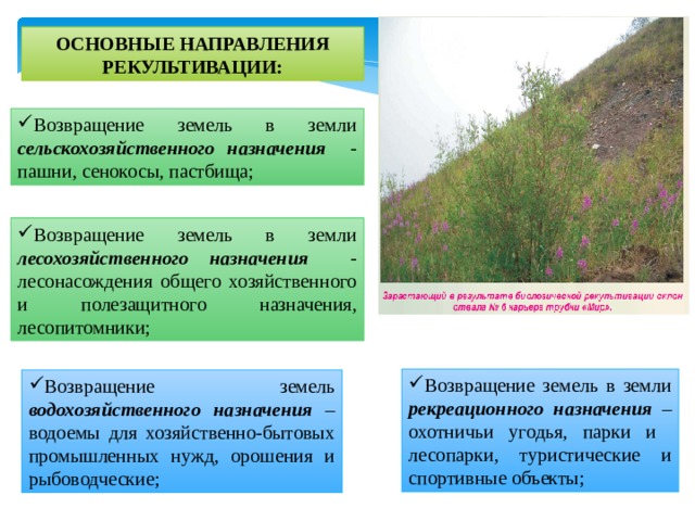 Проект рекультивации земель сельскохозяйственного назначения пример