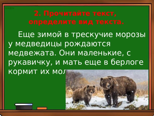 2. Прочитайте текст, определите вид текста.  Еще зимой в трескучие морозы у медведицы рождаются медвежата. Они маленькие, с рукавичку, и мать еще в берлоге кормит их молоком. 