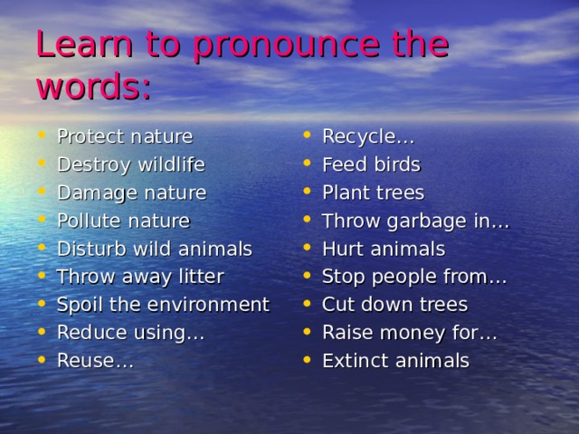 Learn to pronounce the words: Protect nature Destroy wildlife Damage nature Pollute nature Disturb wild animals Throw away litter Spoil the environment Reduce using… Reuse…  Recycle… Feed birds Plant trees Throw garbage in… Hurt animals Stop people from… Cut down trees Raise money for… Extinct animals 