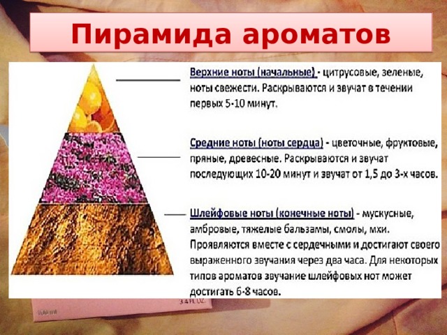 Пирамида ароматов 