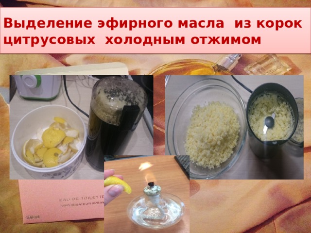 Выделение эфирного масла из корок цитрусовых холодным отжимом 
