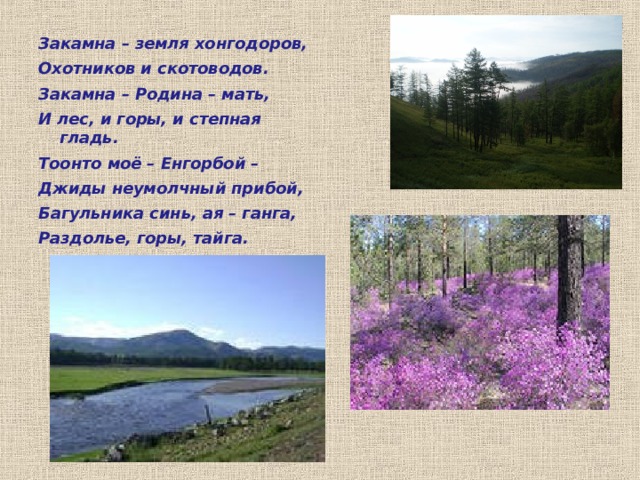 Закамна – земля хонгодоров, Охотников и скотоводов. Закамна – Родина – мать, И лес, и горы, и степная гладь. Тоонто моё – Енгорбой – Джиды неумолчный прибой, Багульника синь, ая – ганга, Раздолье, горы, тайга.  