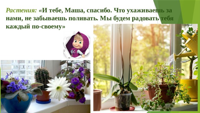 Растения: « И тебе, Маша, спасибо. Что ухаживаешь за нами, не забываешь поливать. Мы будем радовать тебя каждый по-своему»   