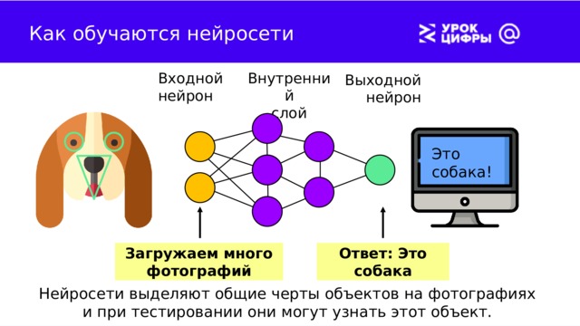 Входные выходные нейроны. Выходные Нейроны.