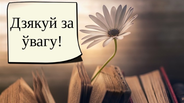 Дзякуй за ўвагу! 