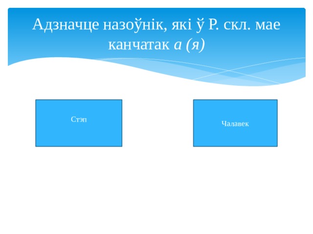 Адзначце назоўнік, які ў Р. скл. мае канчатак а (я) Стэп Чалавек 