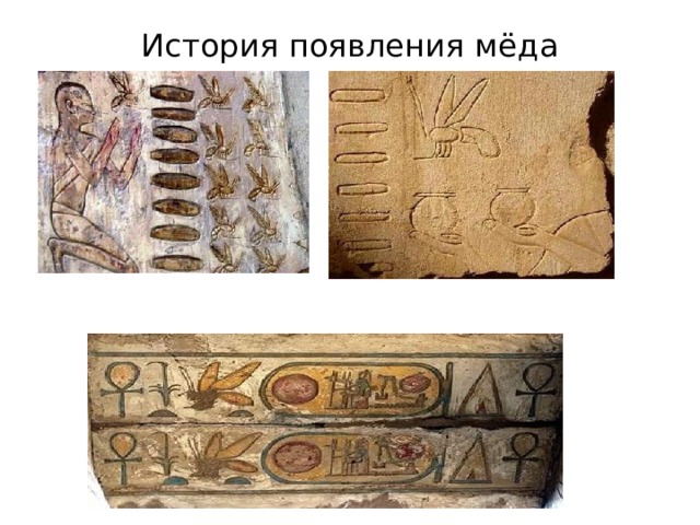 История появления мёда 