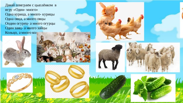 Давай поиграем с цыплёнком в игру «Один- много» Одна курица, а много- курицы Одна овца, а много овцы Оодин огурец- а много огурцы Один заяц- а много зайцы Кольцо, а много кольца 
