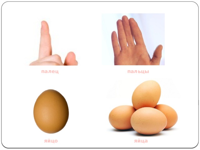 палец пальцы  яйцо яйца 