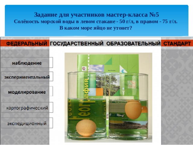 Задание для участников мастер-класса №5  Солёность морской воды в левом стакане - 50 г/л, в правом - 75 г/л.  В каком море яйцо не утонет? 