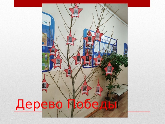 Дерево Победы 