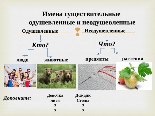 Презентация 2 класс одушевленные и неодушевленные имена существительные 2 класс