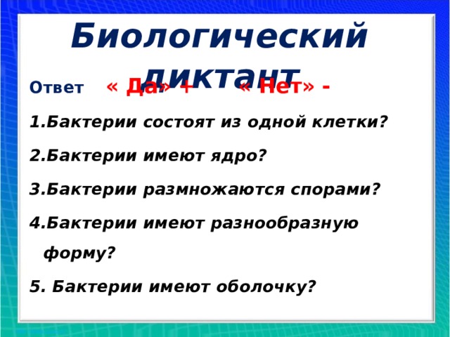Биологический диктант Ответ   « Да» + « Нет» - 1.Бактерии состоят из одной клетки? 2.Бактерии имеют ядро? 3.Бактерии размножаются спорами? 4.Бактерии имеют разнообразную форму? 5. Бактерии имеют оболочку? 
