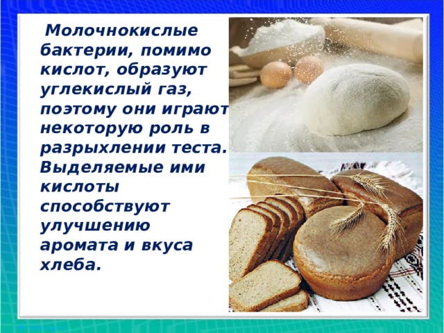  Молочнокислые бактерии, помимо кислот, образуют углекислый газ, поэтому они играют некоторую роль в разрыхлении теста. Выделяемые ими кислоты способствуют улучшению аромата и вкуса хлеба.  