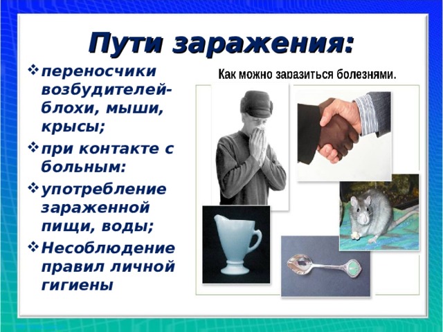Пути заражения: переносчики возбудителей- блохи, мыши, крысы; при контакте с больным: употребление зараженной пищи, воды; Несоблюдение правил личной гигиены 