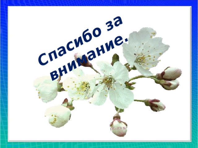 Спасибо за внимание. 