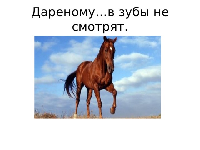 Дареному…в зубы не смотрят.