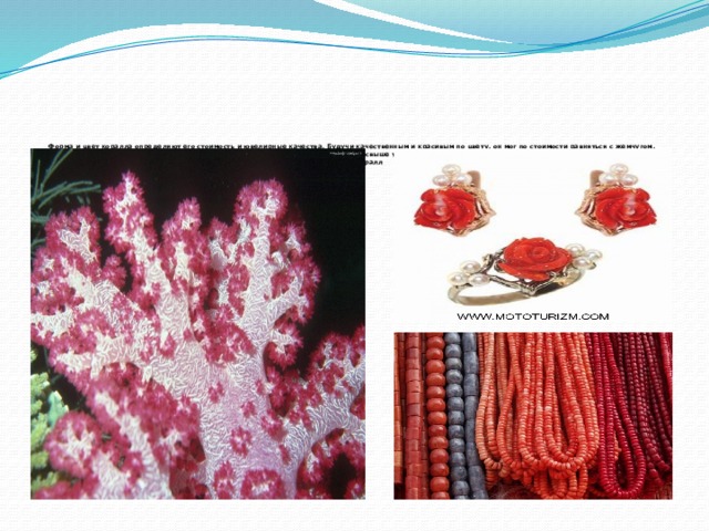 Форма и цвет коралла определяют его стоимость и ювелирные качества. Будучи качественным и красивым по цвету, он мог по стоимости равняться с жемчугом. Известно, что в цветовой палитре коралла - свыше трехсот пятидесяти оттенков.  Красный коралл     