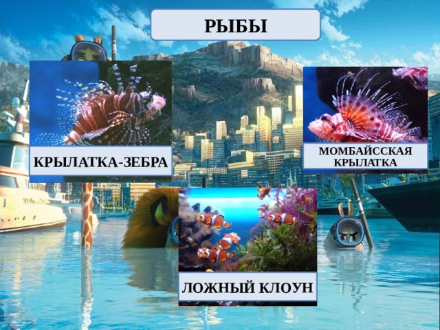 РЫБЫ МОМБАЙССКАЯ КРЫЛАТКА КРЫЛАТКА-ЗЕБРА ЛОЖНЫЙ КЛОУН 