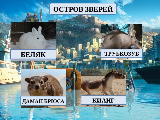 ОСТРОВ ЗВЕРЕЙ ТРУБКОЗУБ БЕЛЯК КИАНГ ДАМАН БРЮСА 
