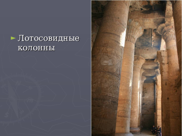 Лотосовидные колонны 