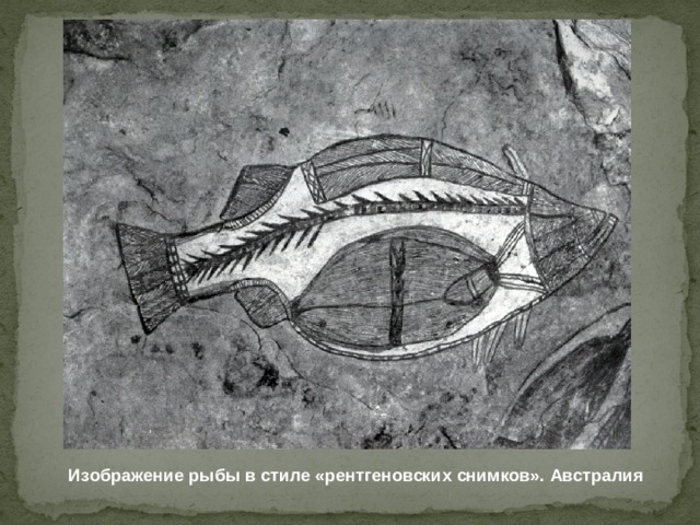 Изображение рыбы в стиле «рентгеновских снимков». Австралия 
