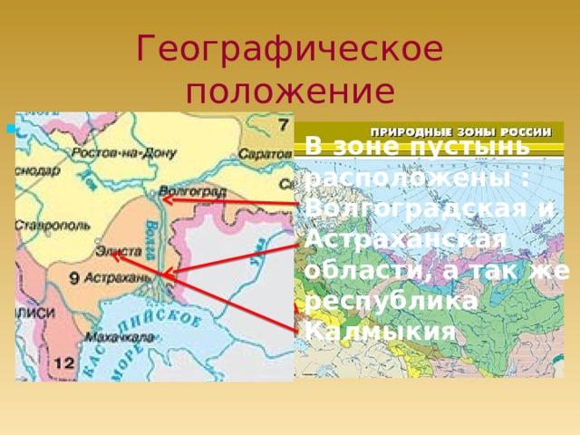 Географическое  положение Полупустыни и пустыни России находятся на юго-востоке Восточно-Европейской равнины и на северо-западной окраине Прикаспийской низменности В зоне пустынь расположены : Волгоградская и Астраханская области, а так же республика Калмыкия 