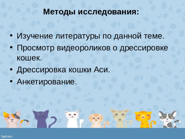 Презентация дрессировка кошек