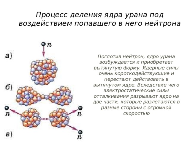 Процесс деления ядра урана под воздействием попавшего в него нейтрона Поглотив нейтрон, ядро урана возбуждается и приобретает вытянутую форму. Ядерные силы очень короткодействующие и перестают действовать в вытянутом ядре. Вследствие чего электростатические силы отталкивания разрывают ядро на две части, которые разлетаются в разные стороны с огромной скоростью 