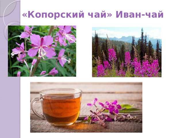 «Копорский чай» Иван-чай 